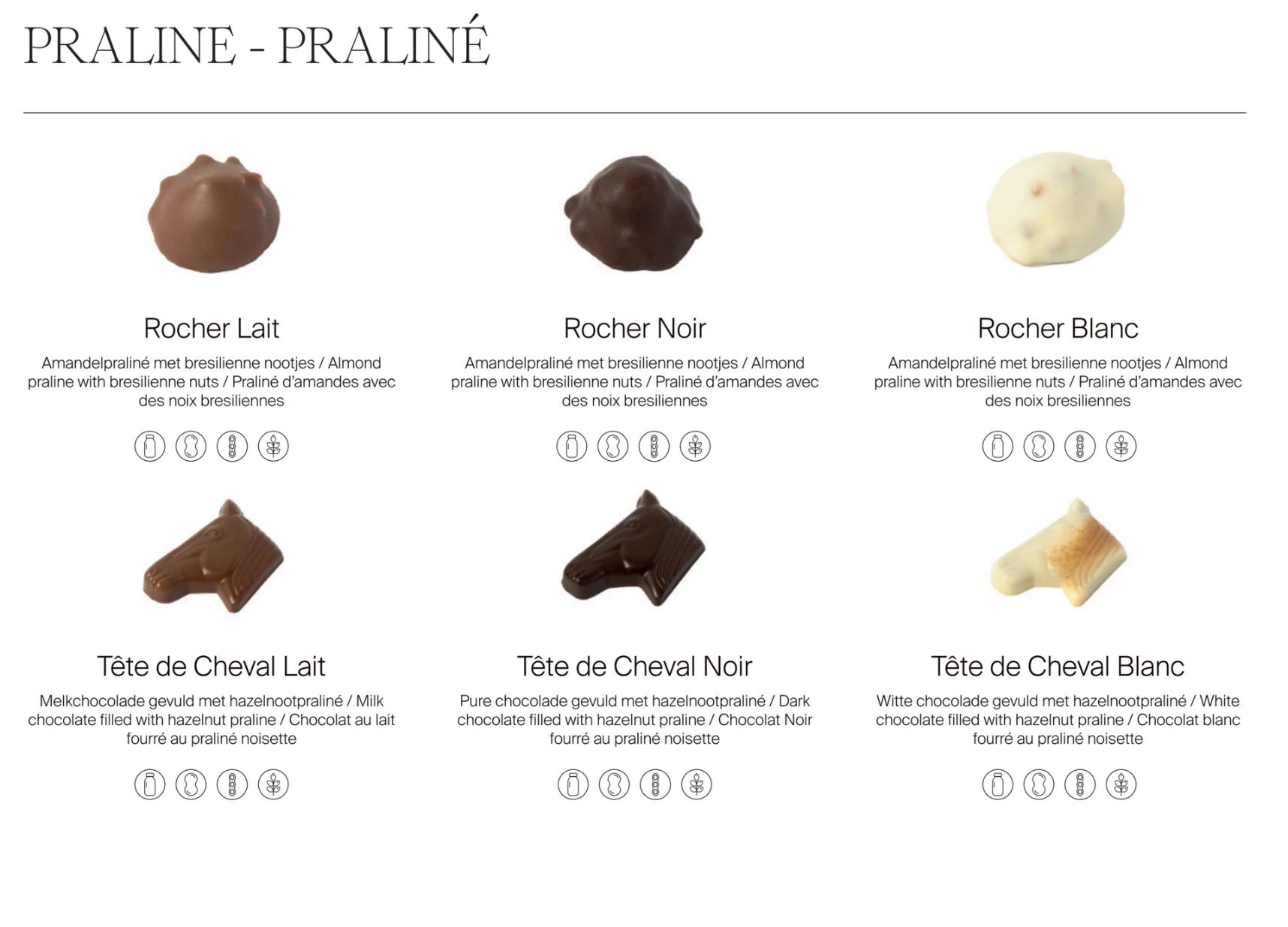 Praliné noisette artisanal enrobé de chocolat belge premium, alliance parfaite entre croustillant et fondant.